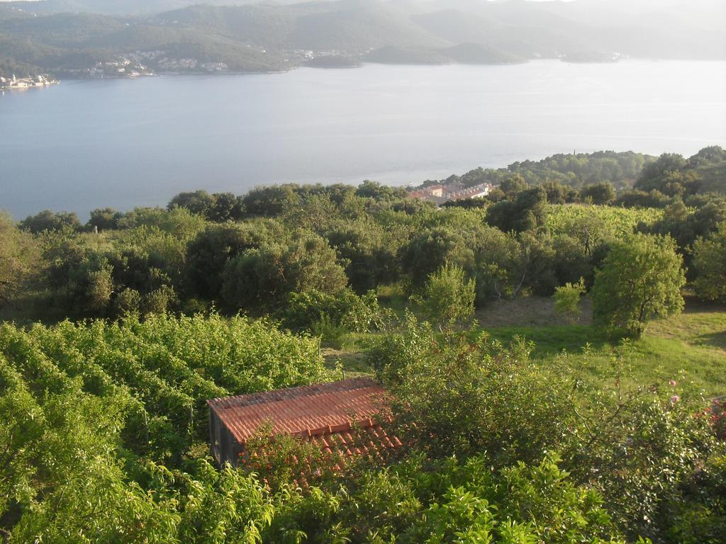 Apartment Bogoje Kučište Kültér fotó